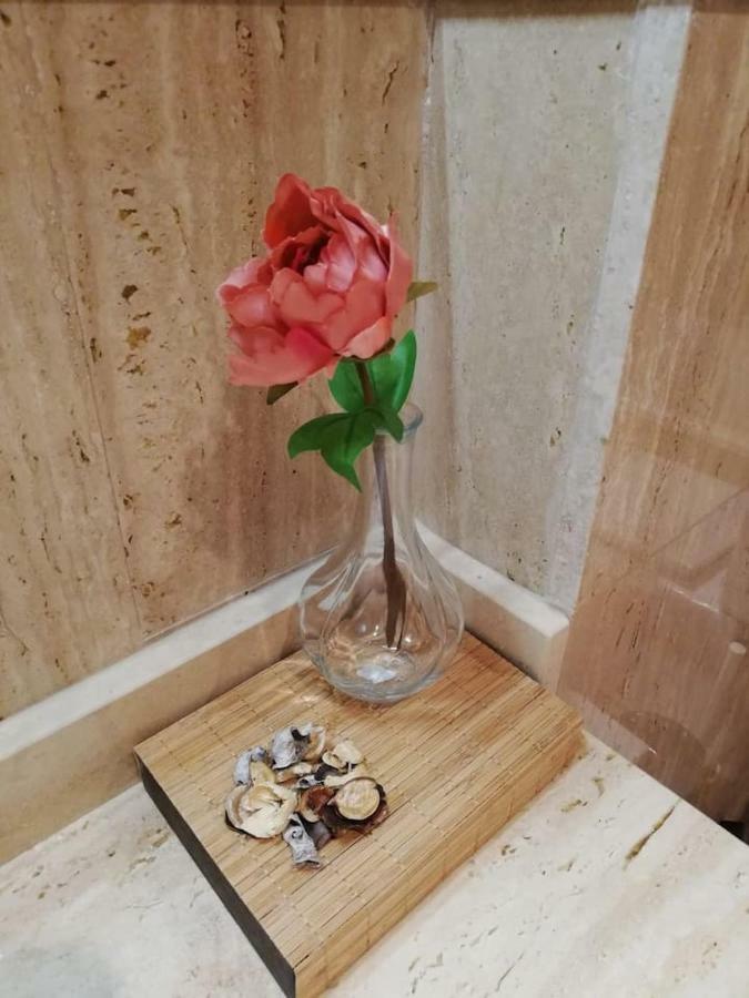 דירות סנט ג'אומה ד'נבג'ה Residencial Delta Garden'S מראה חיצוני תמונה